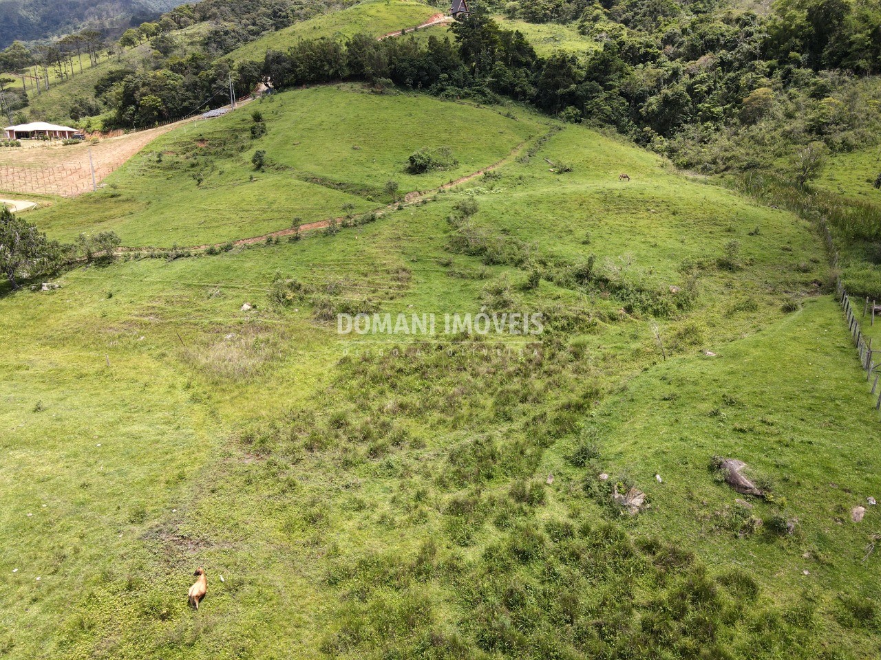 Terreno à venda - Foto 3