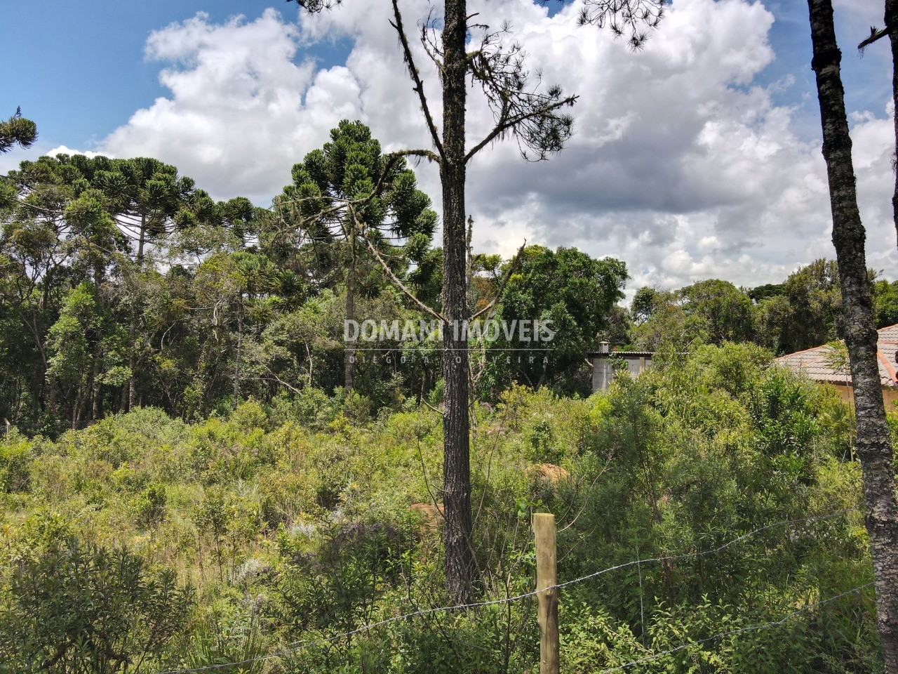 Terreno à venda, 1010m² - Foto 14