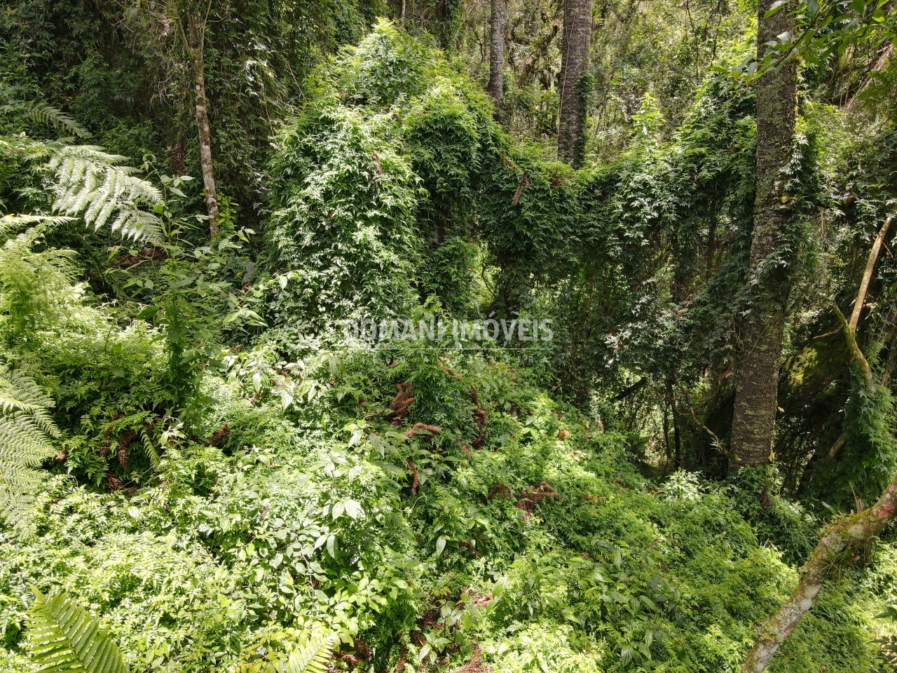 Terreno à venda, 2130m² - Foto 6