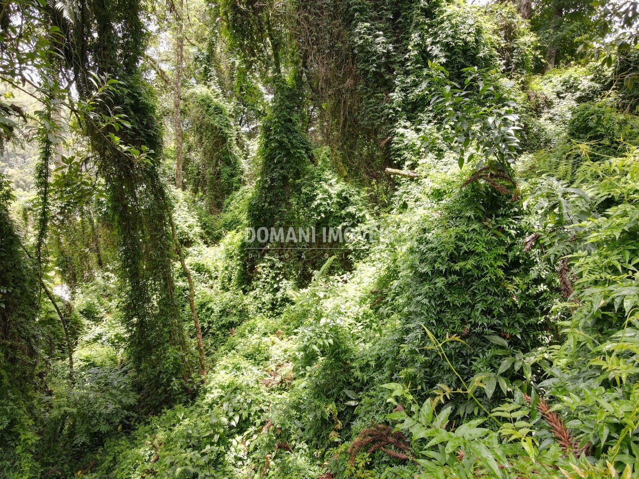 Terreno à venda, 1950m² - Foto 5