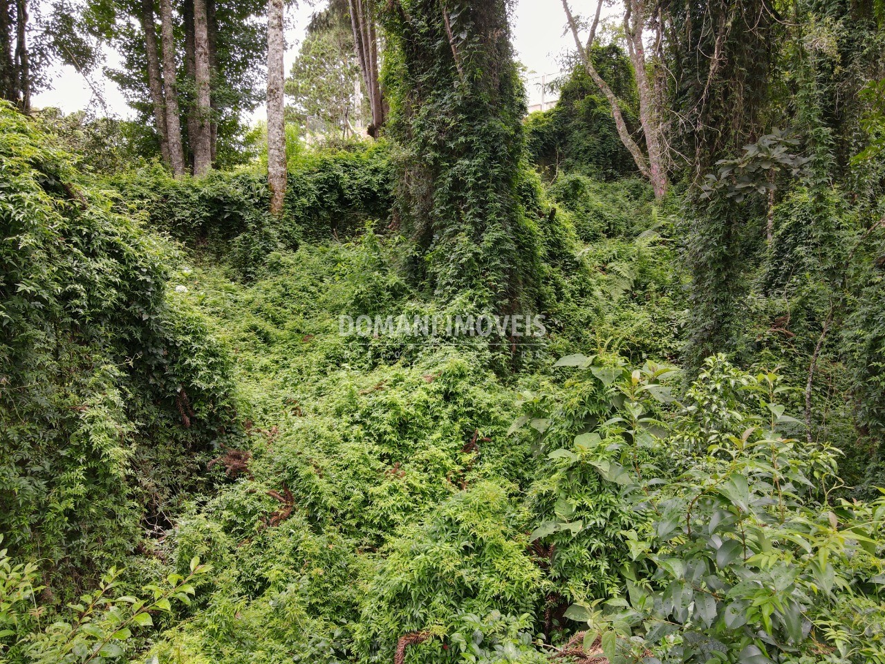 Terreno à venda, 1950m² - Foto 6