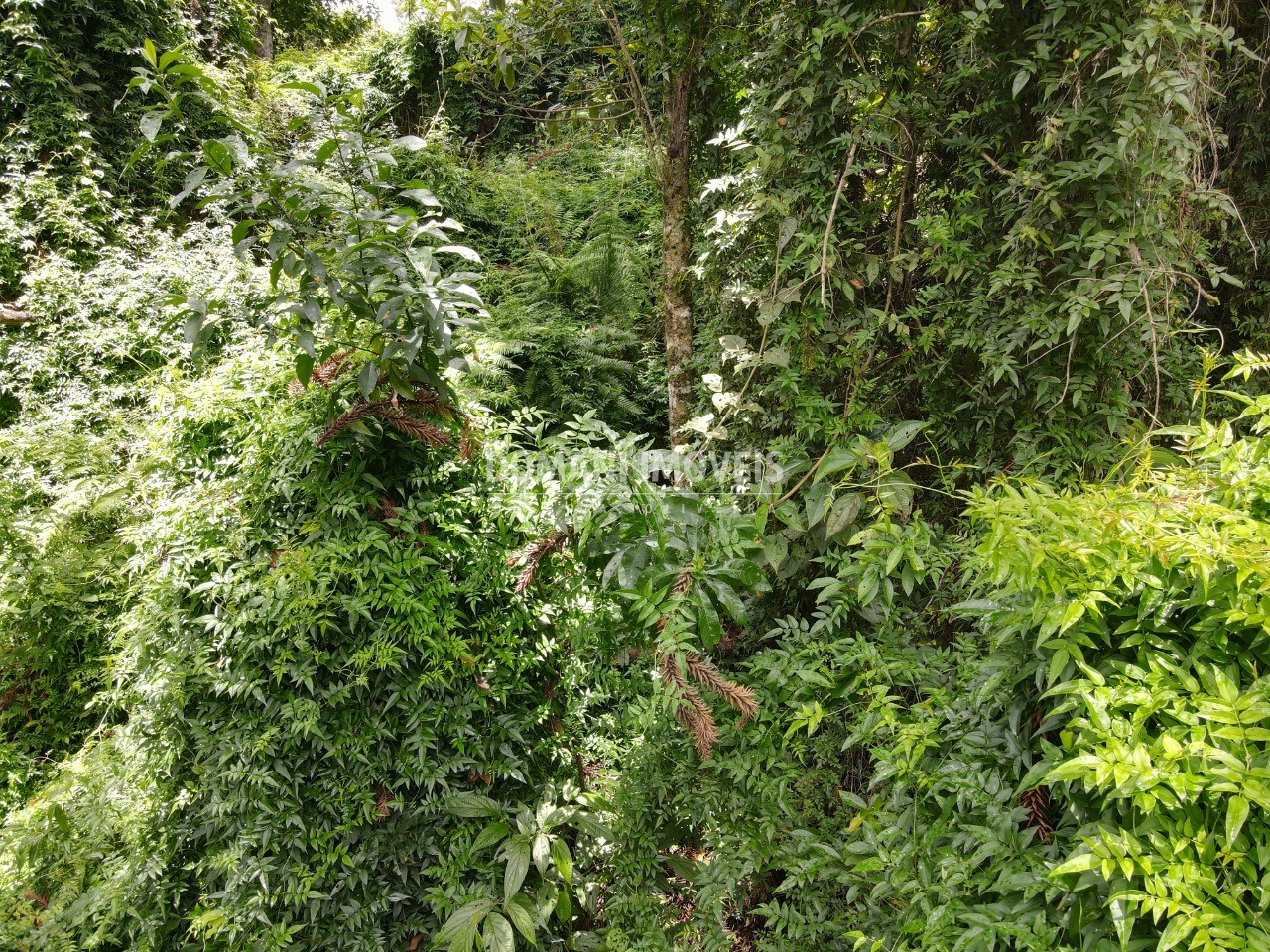 Terreno à venda, 1950m² - Foto 10