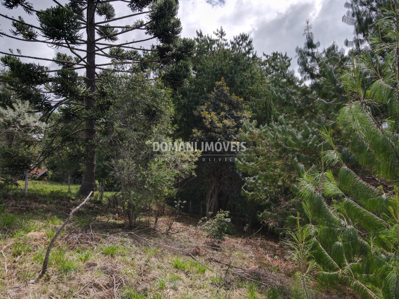 Terreno, 1070 m² - Foto 13