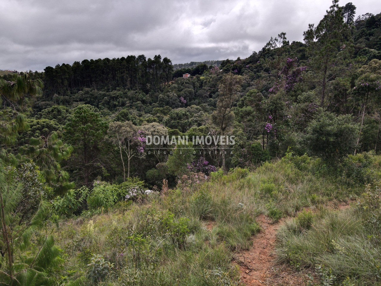 Terreno à venda, 2000m² - Foto 3