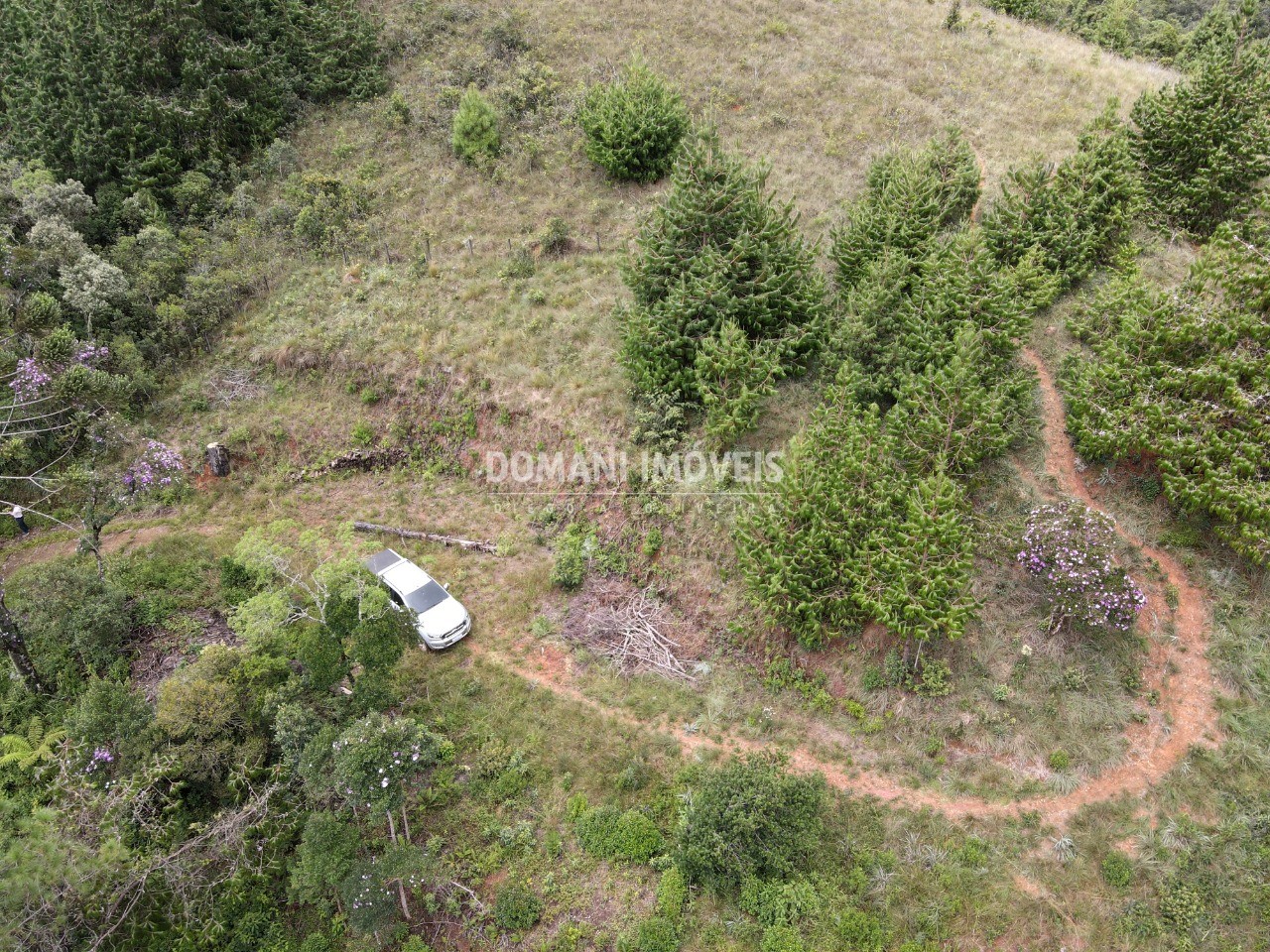 Terreno à venda, 2000m² - Foto 10