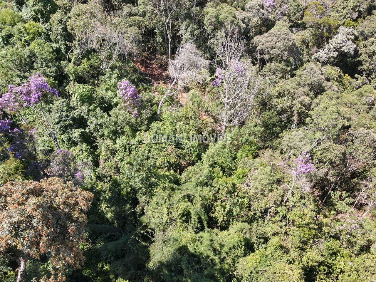 Terreno à venda, 1080m² - Foto 11