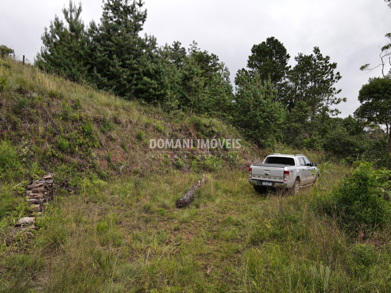 Terreno à venda, 2000m² - Foto 5