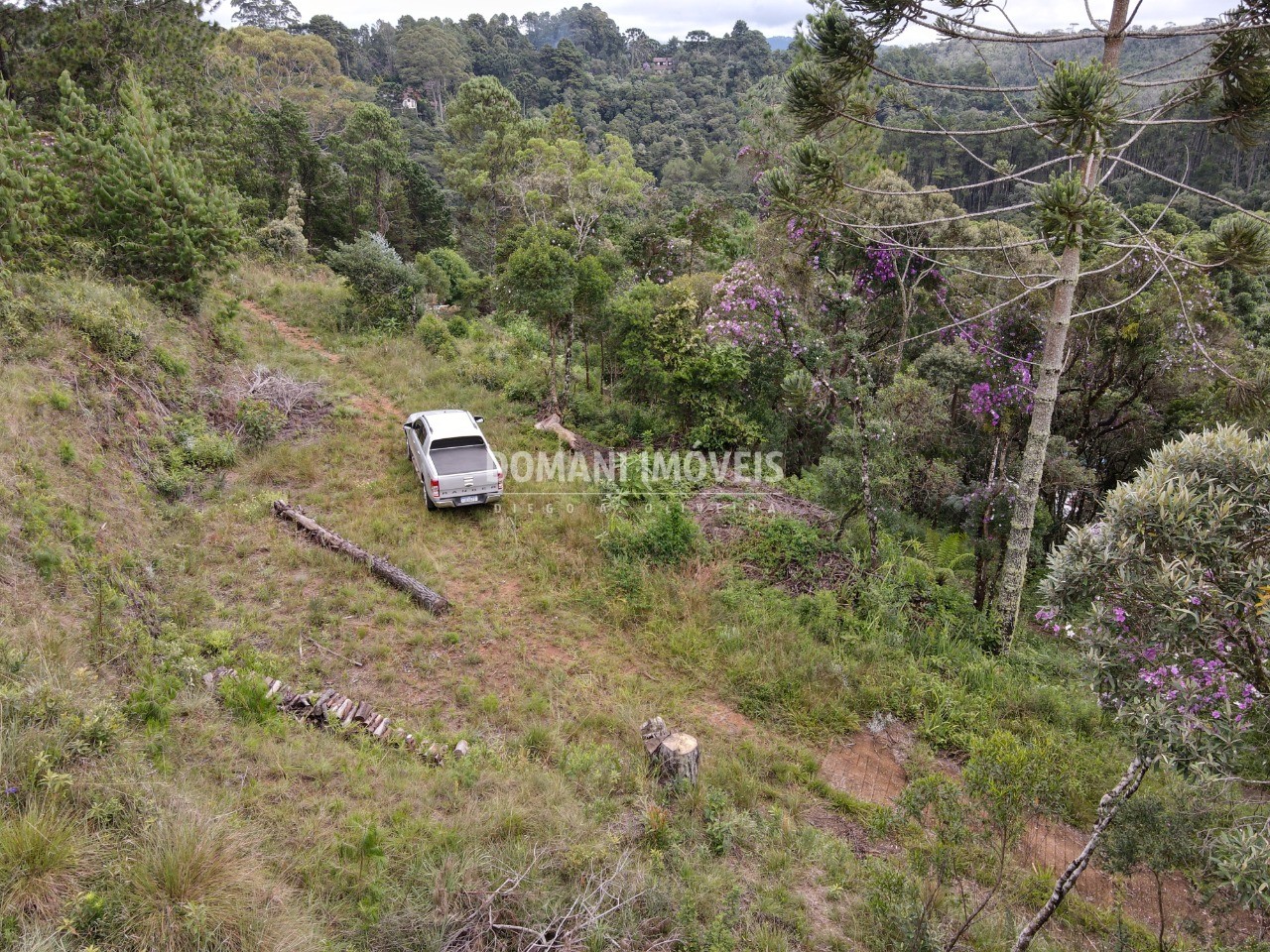 Terreno à venda, 2000m² - Foto 4