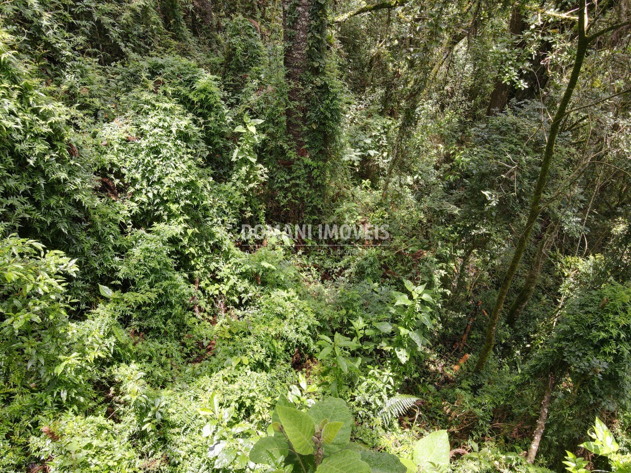 Terreno à venda, 1950m² - Foto 4