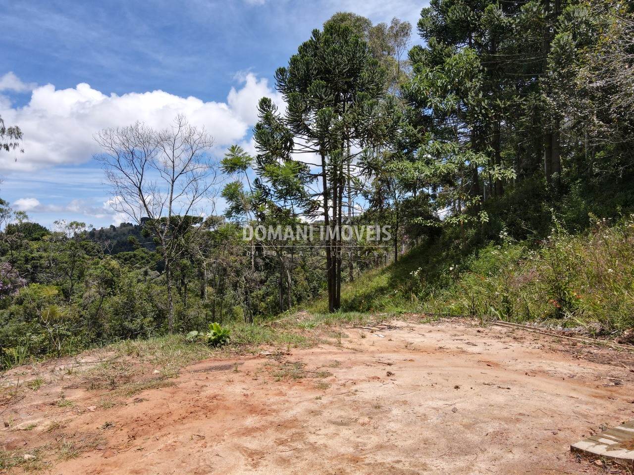 Casa, 3 quartos - Foto 33