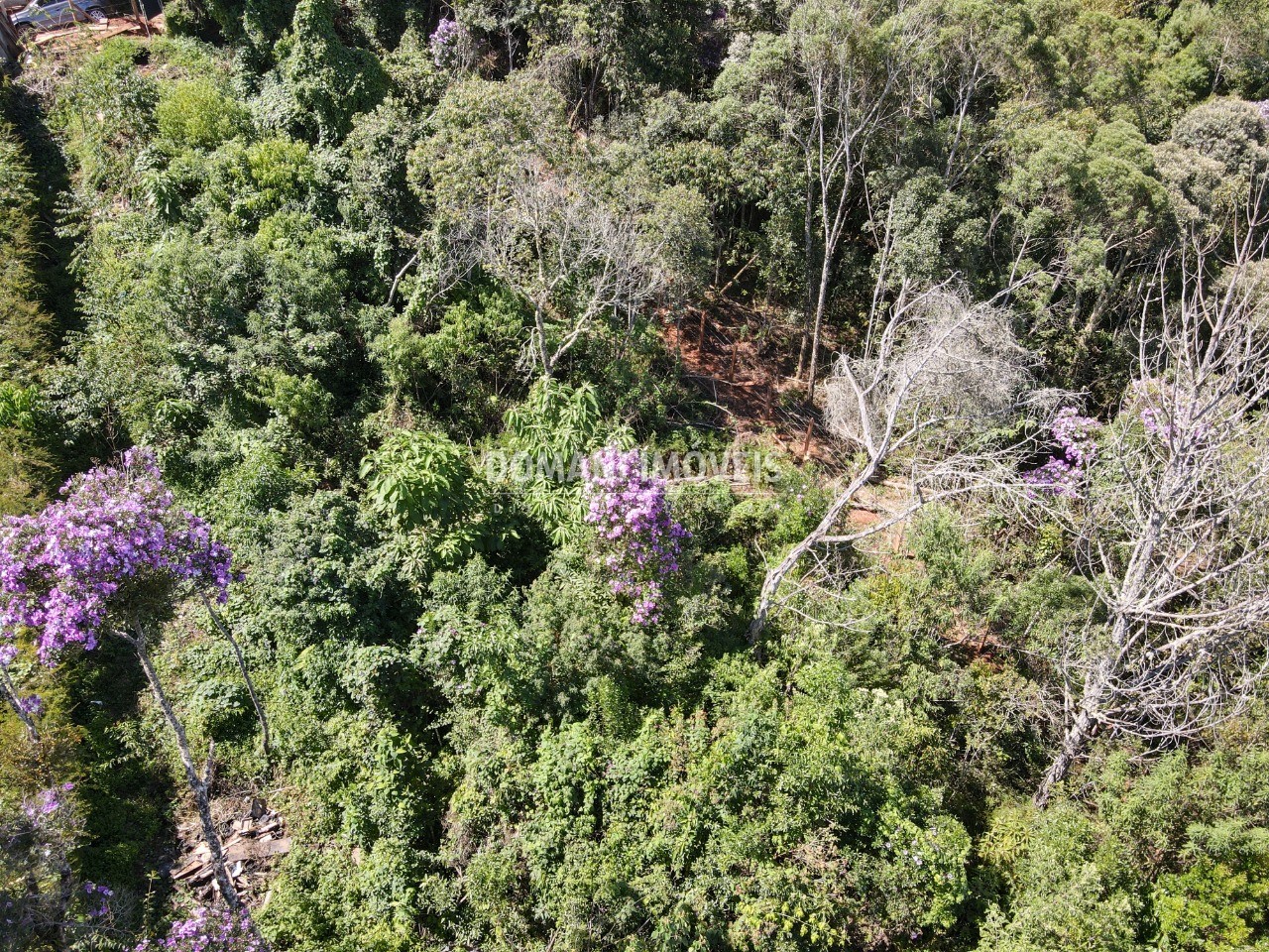 Terreno à venda, 1080m² - Foto 5