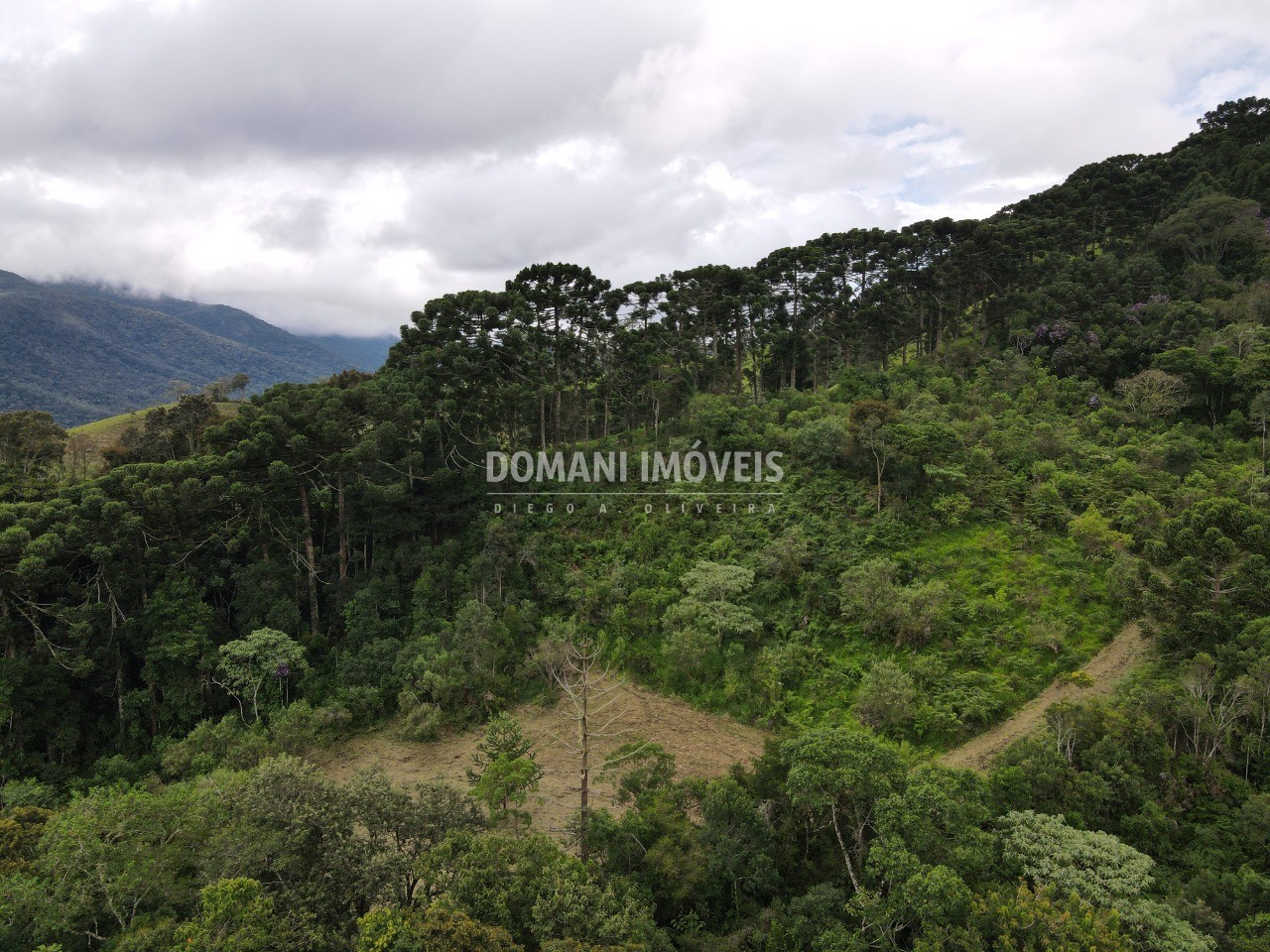 Terreno à venda - Foto 4