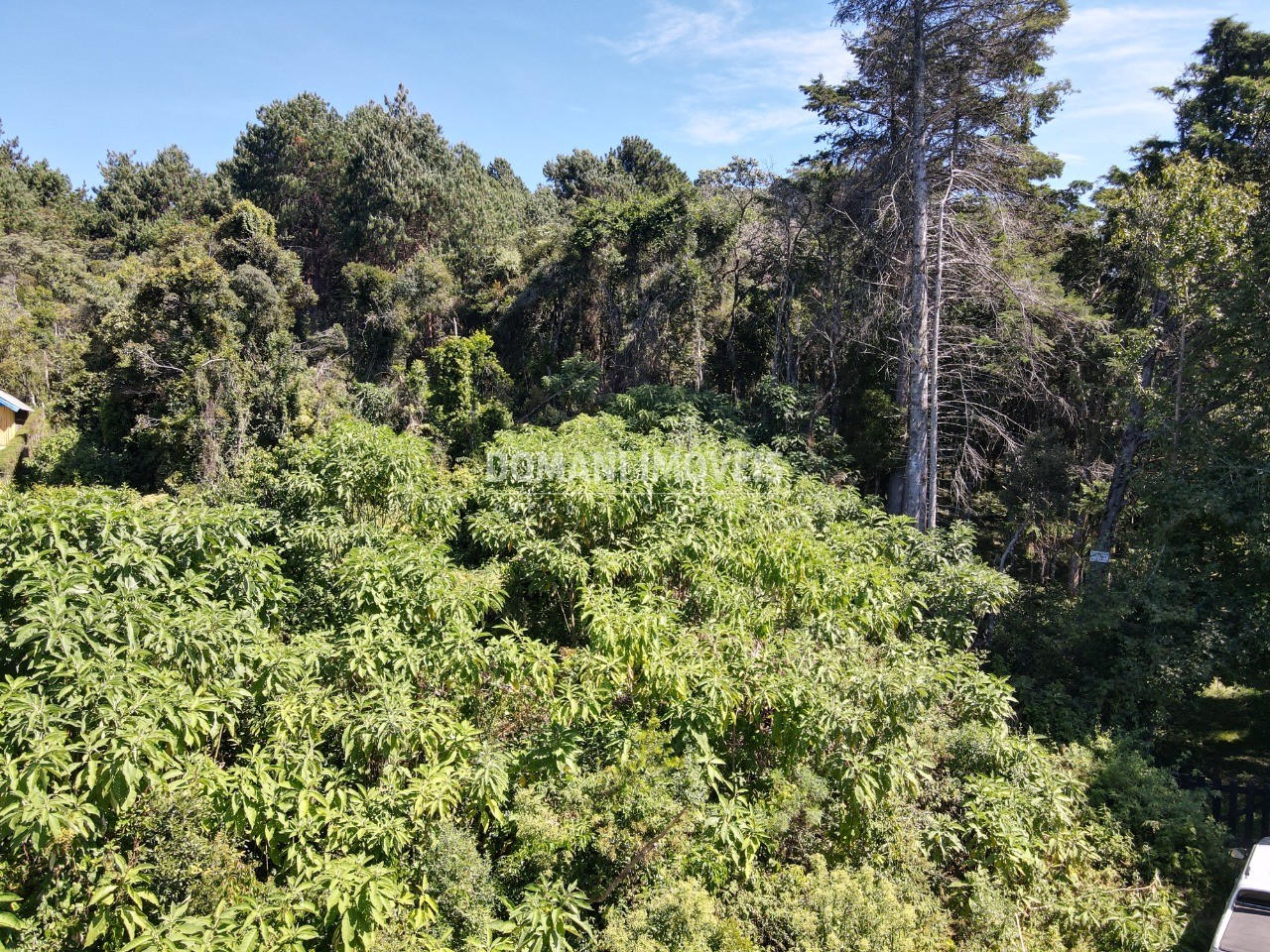 Terreno, 2520 m² - Foto 8