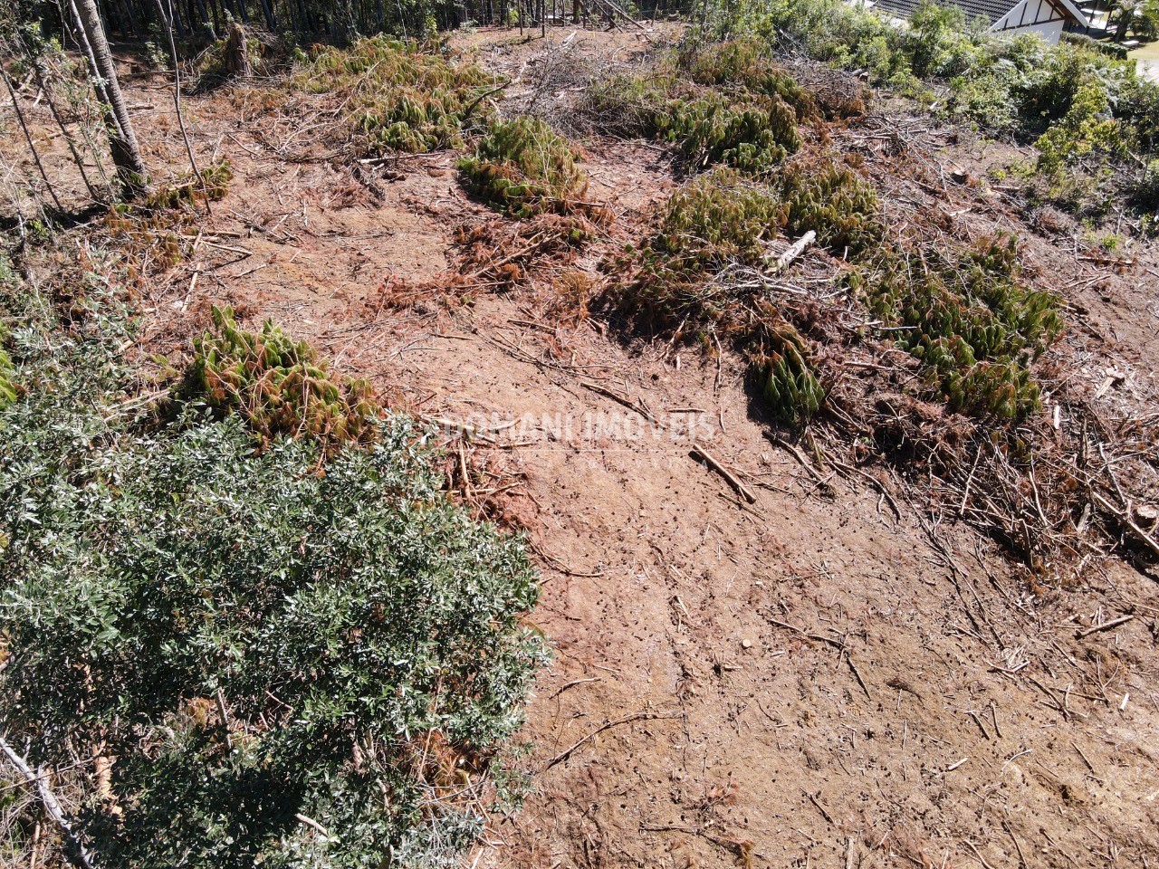 Terreno à venda, 2540m² - Foto 3