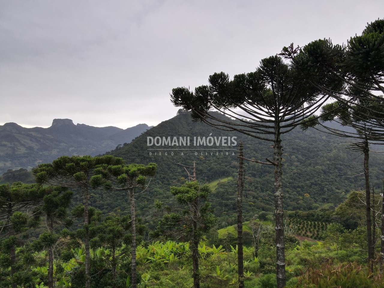 Terreno, 4100 m² - Foto 1