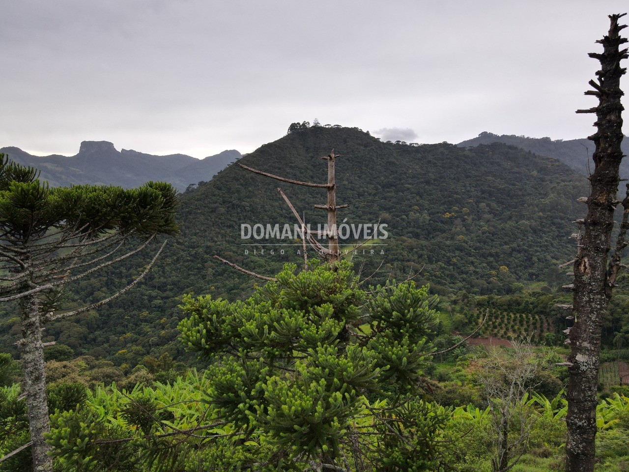 Terreno, 4100 m² - Foto 10