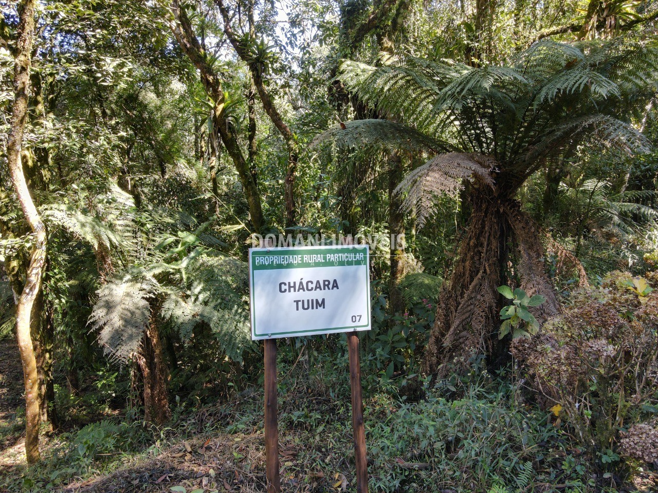 Sítio à venda - Foto 4