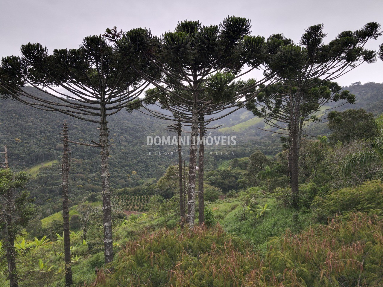 Terreno, 4100 m² - Foto 17