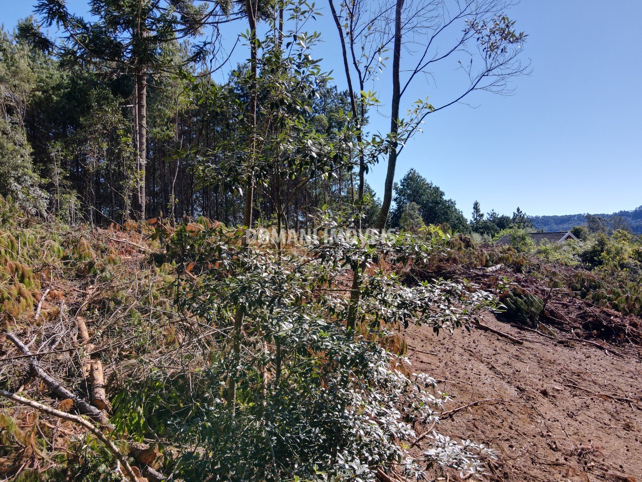 Terreno à venda, 2540m² - Foto 8