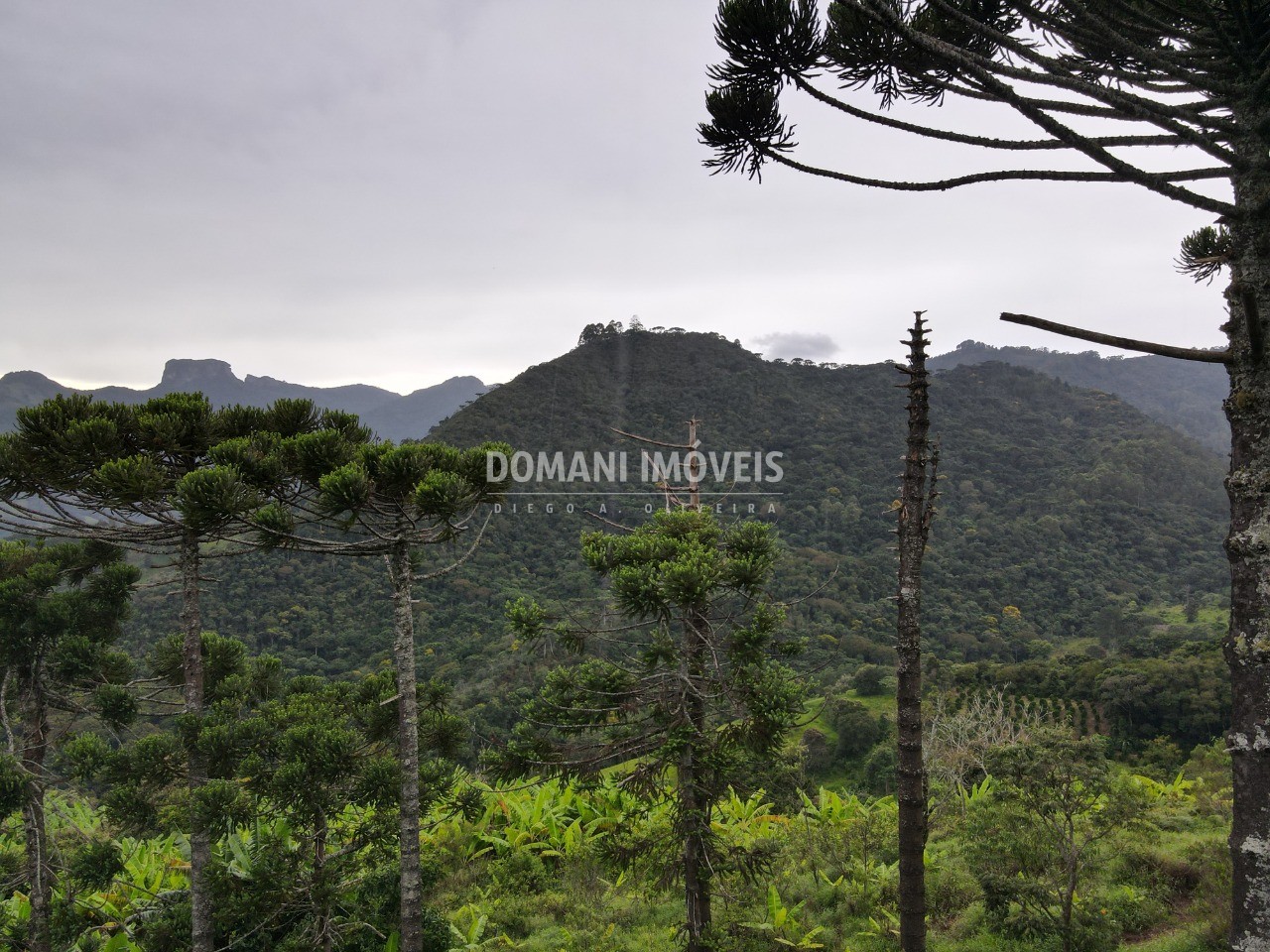 Terreno, 4100 m² - Foto 5