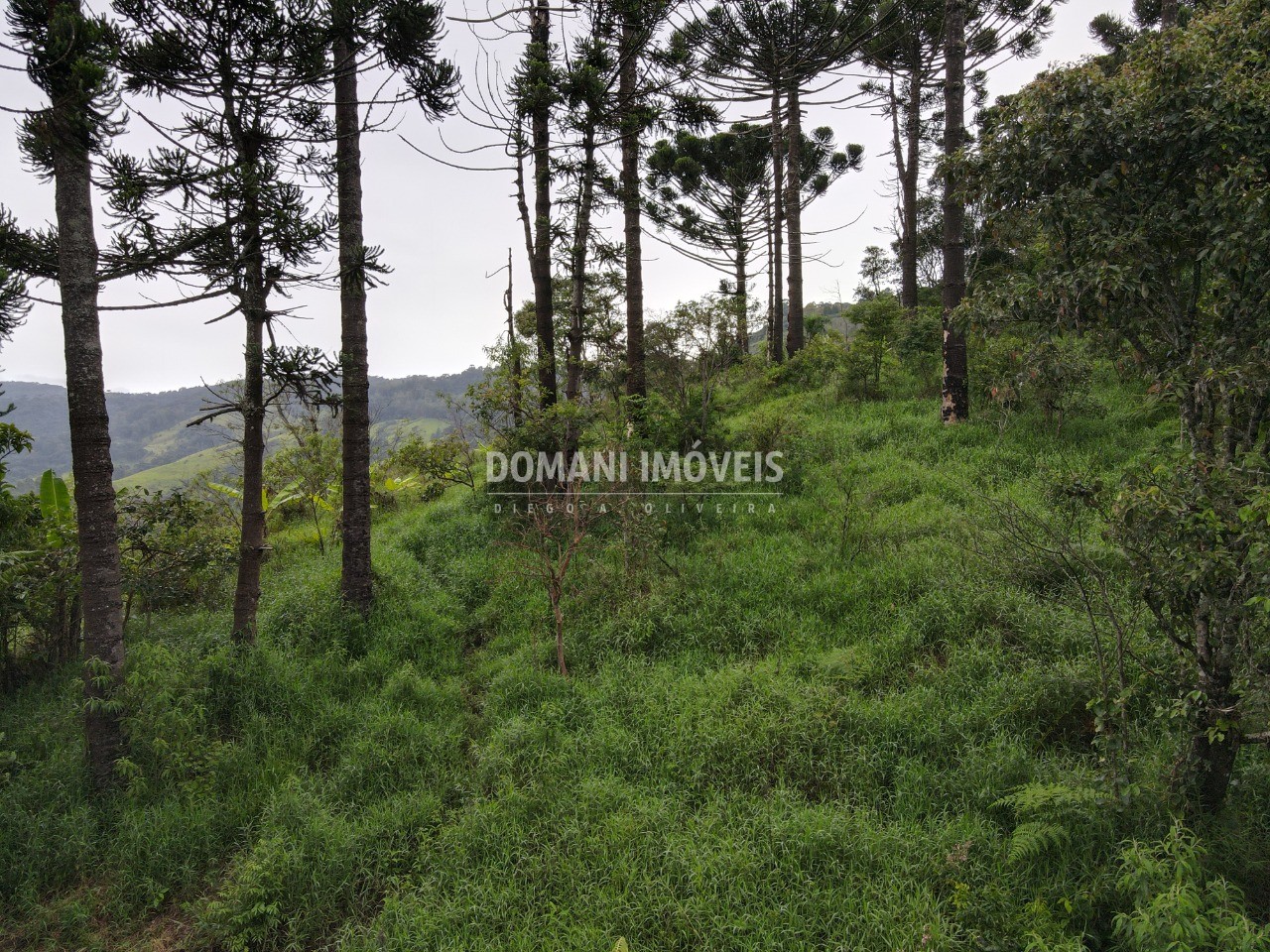 Terreno, 4100 m² - Foto 20