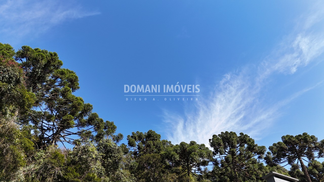 Casa, 4 quartos - Foto 4