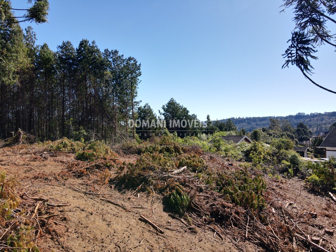 Terreno à venda, 2540m² - Foto 1