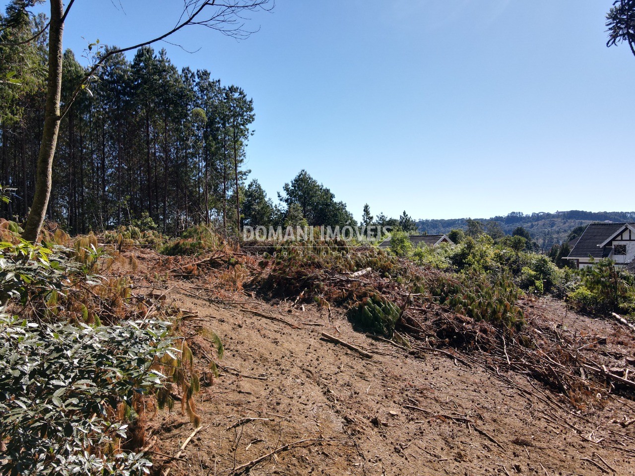 Terreno à venda, 2540m² - Foto 11