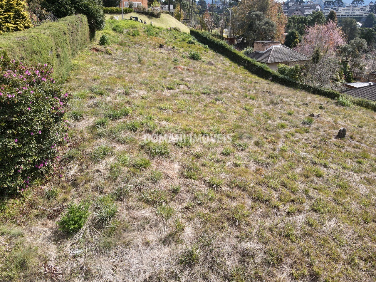 Terreno, 2800 m² - Foto 5