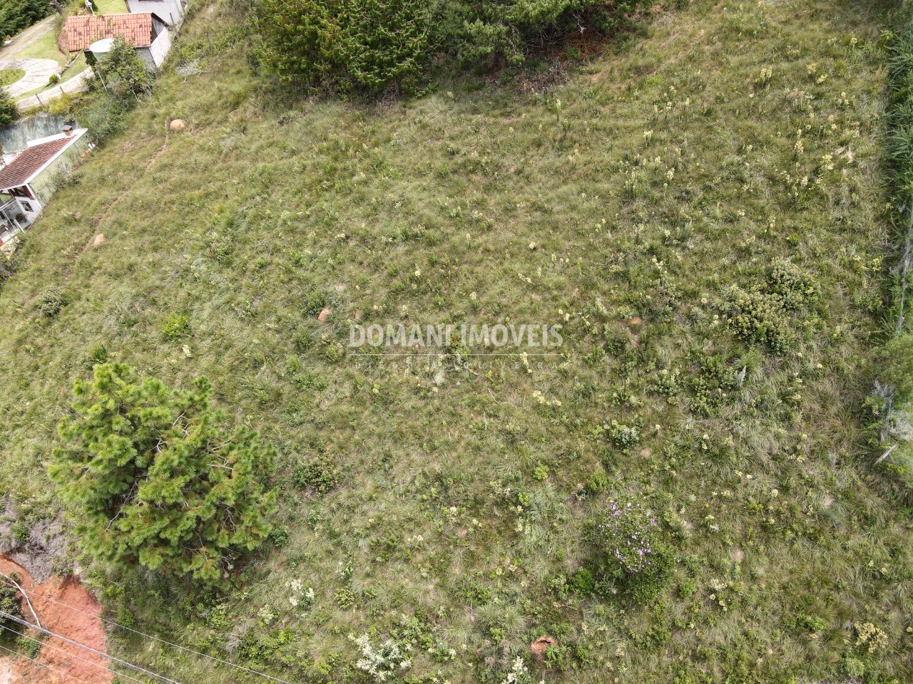 Terreno, 2080 m² - Foto 6