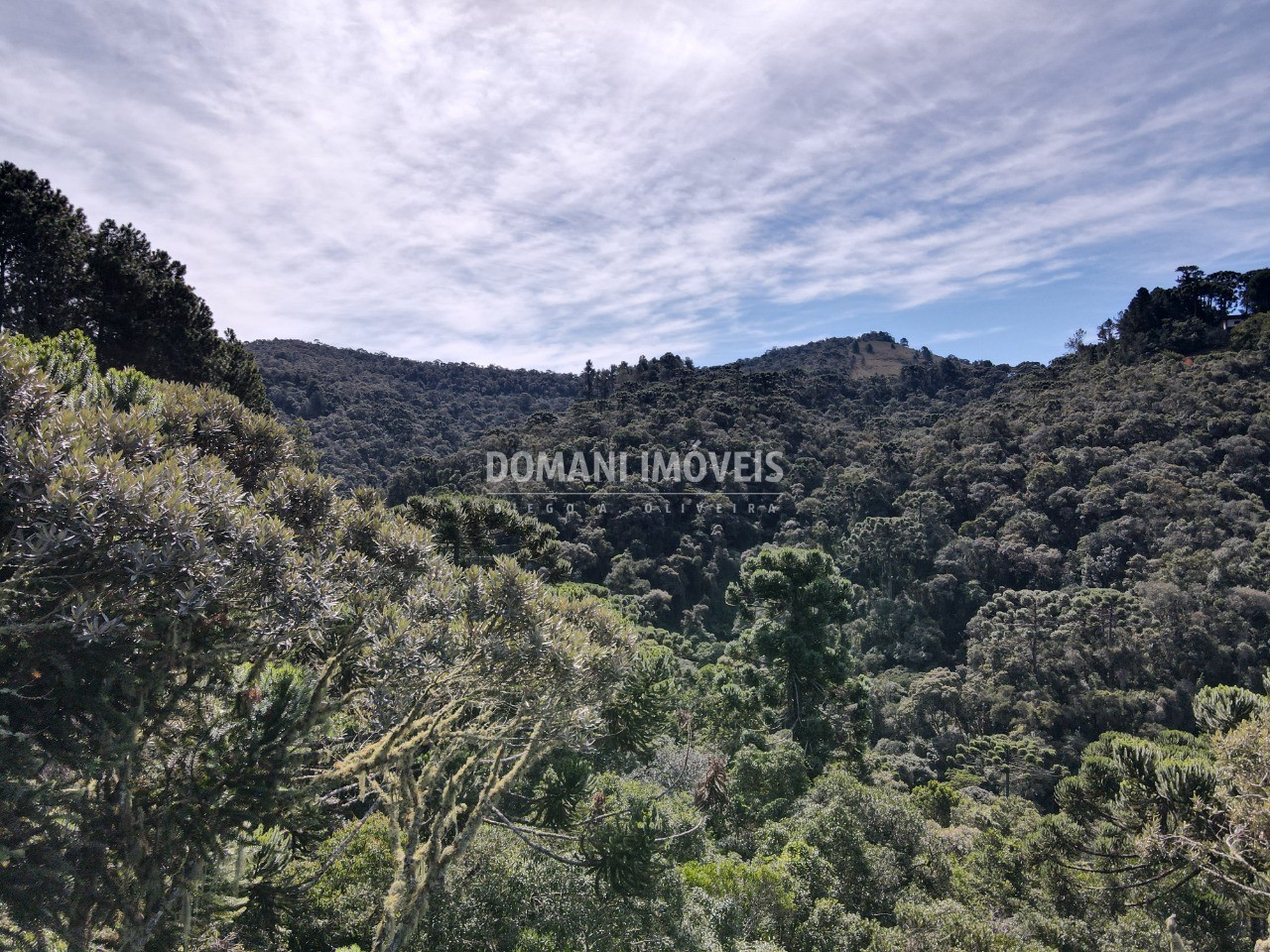 Terreno, 5100 m² - Foto 8