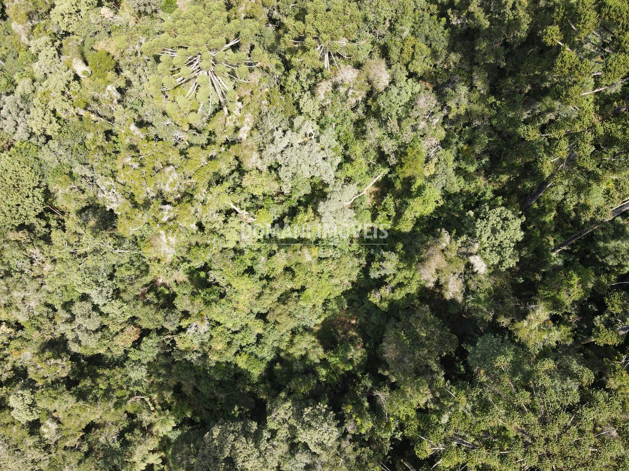 Terreno, 5100 m² - Foto 21