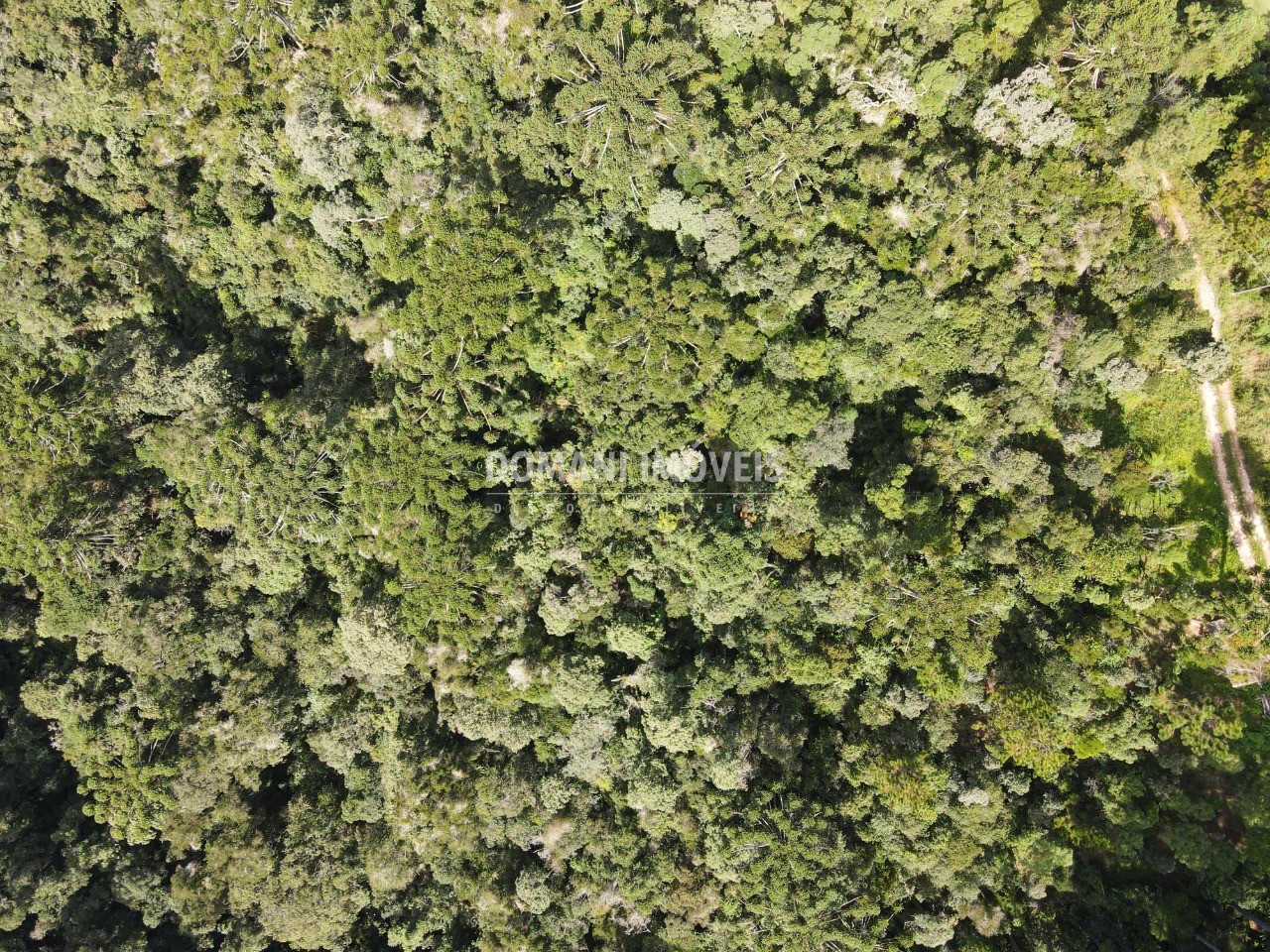 Terreno, 5100 m² - Foto 10