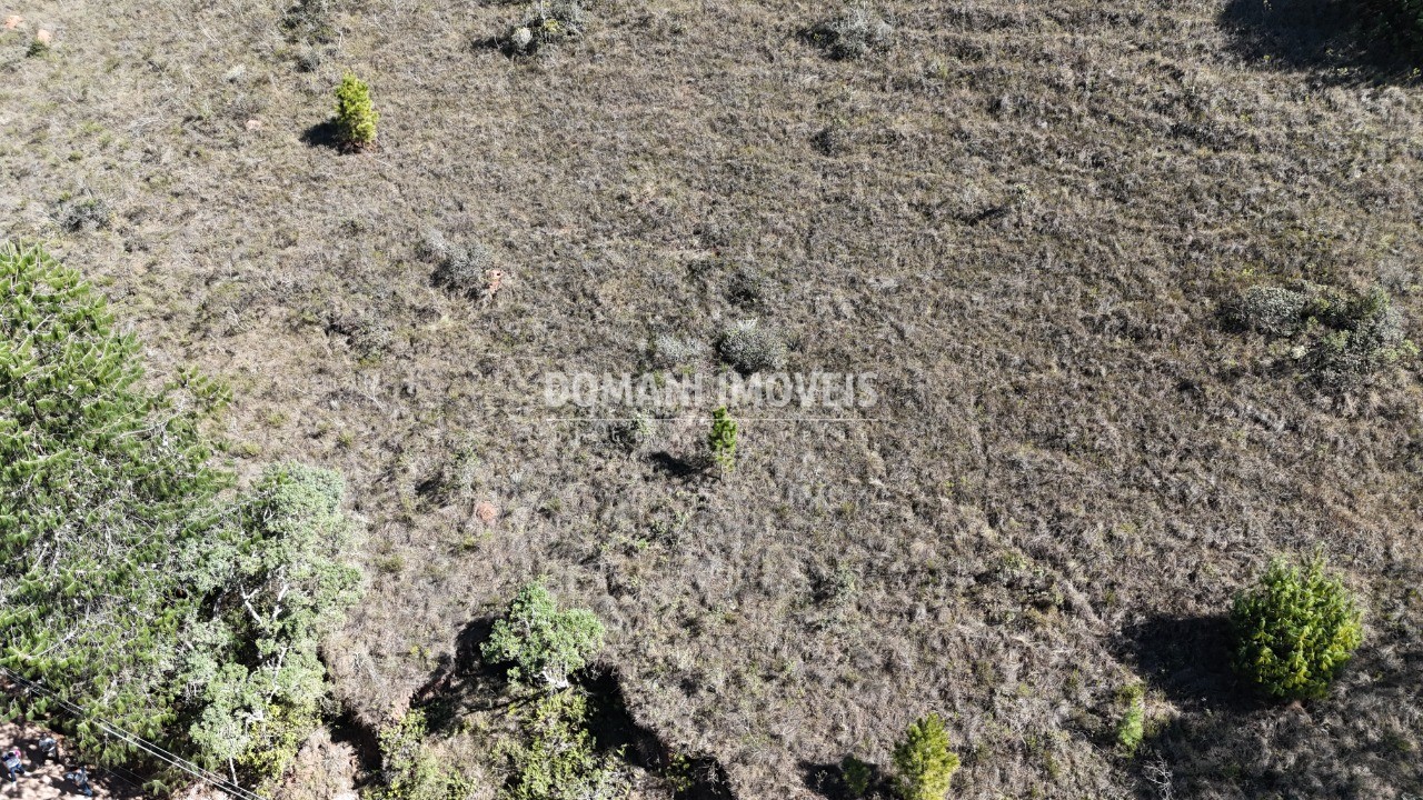 Terreno, 1390 m² - Foto 9