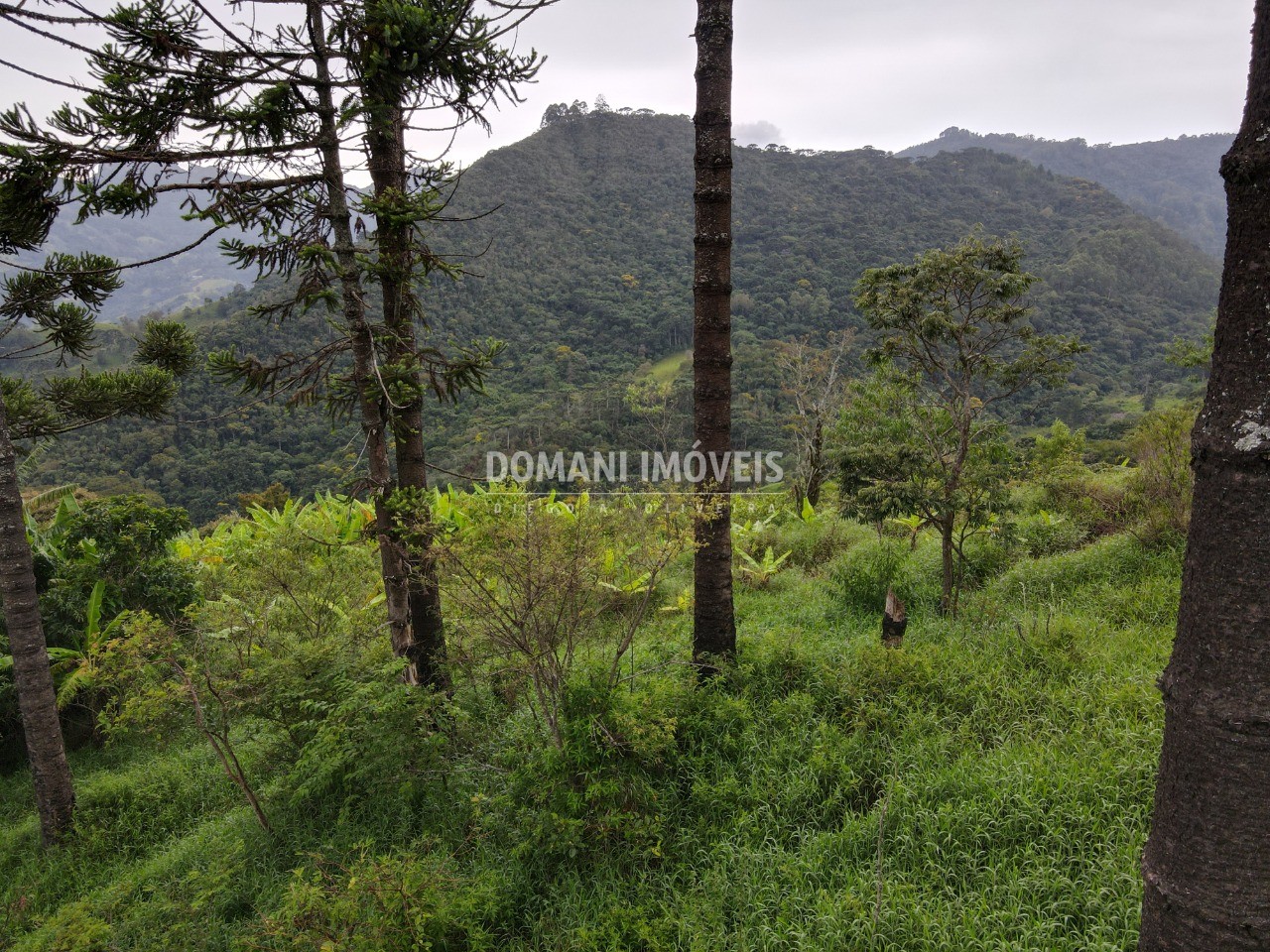 Terreno, 4100 m² - Foto 24