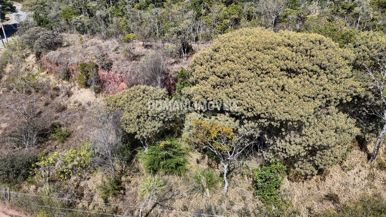 Terreno à venda - Foto 12