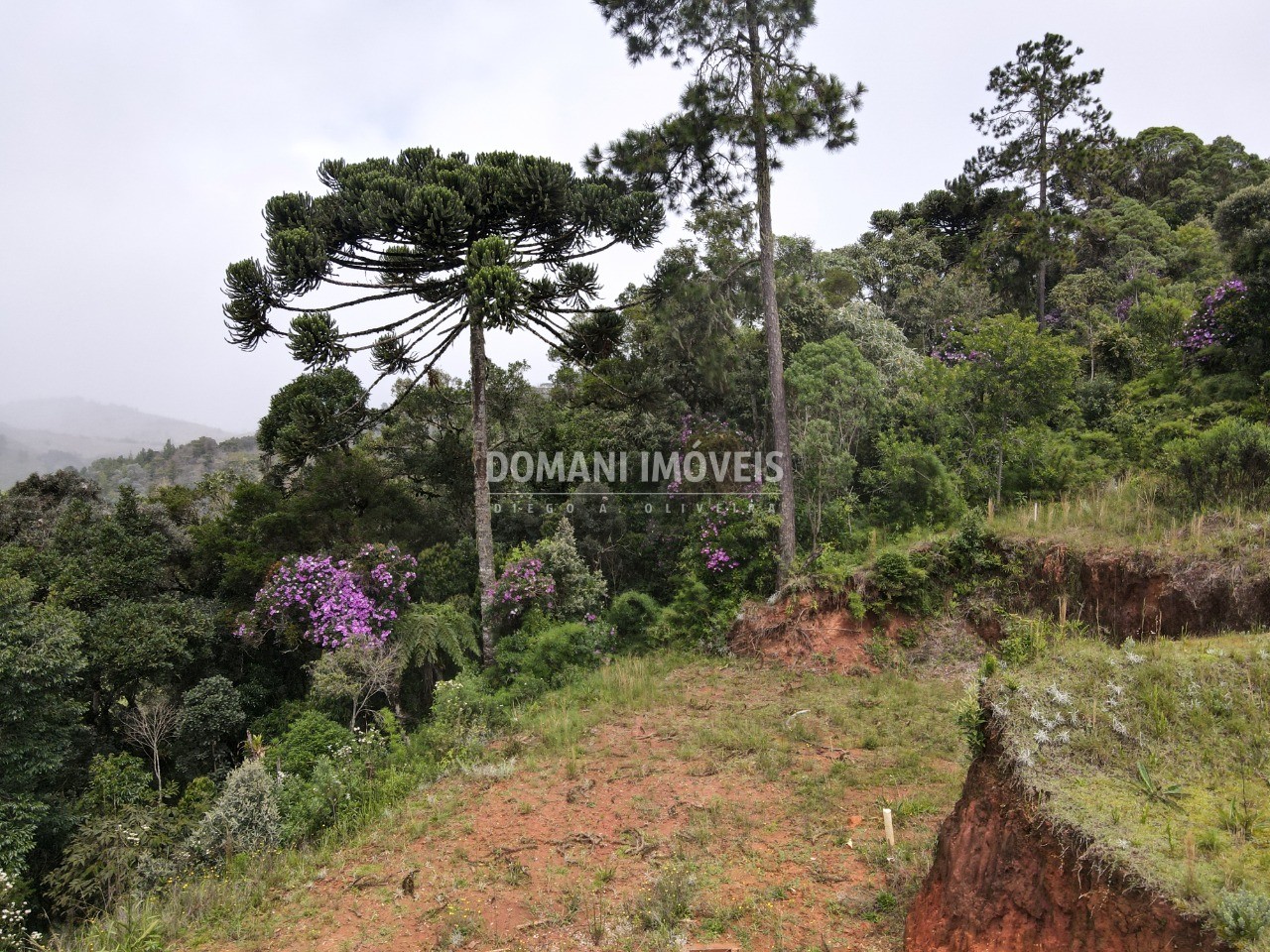 Terreno à venda, 1270m² - Foto 1