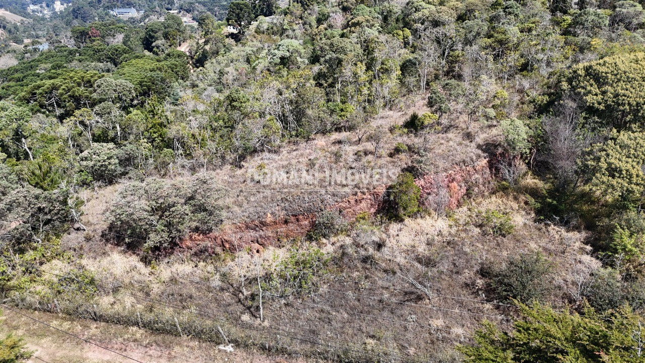 Terreno à venda - Foto 5