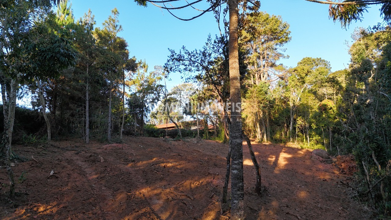 Terreno à venda, 2280m² - Foto 5