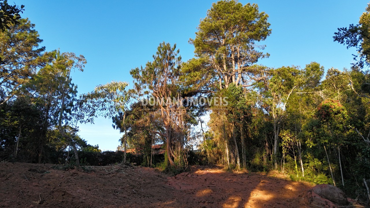 Terreno à venda, 2280m² - Foto 22