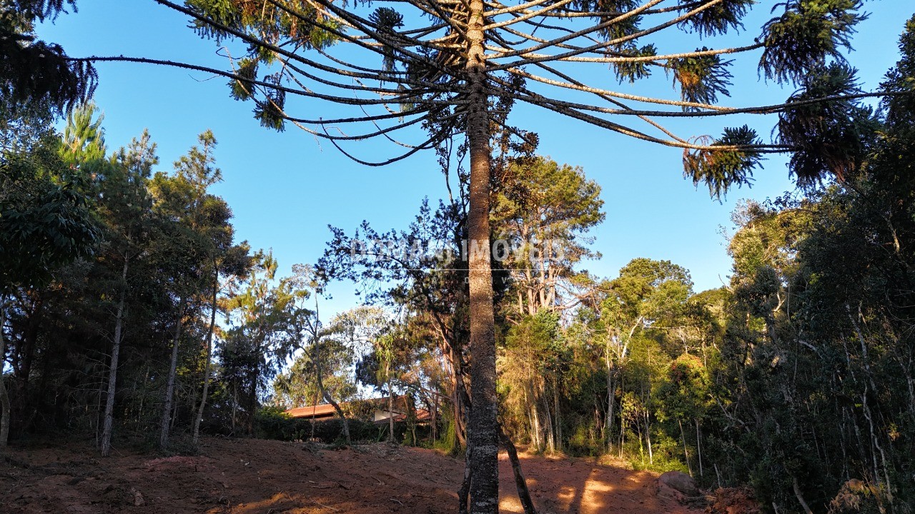 Terreno à venda, 2280m² - Foto 14