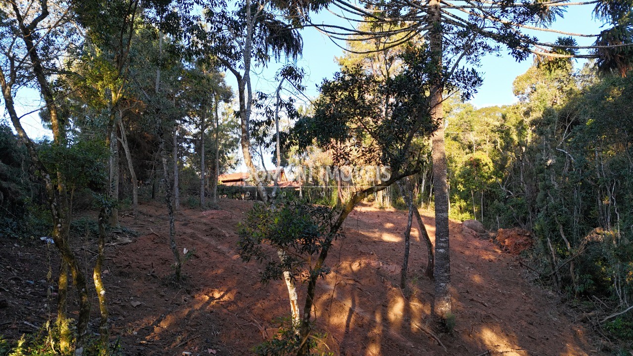 Terreno à venda, 2280m² - Foto 8