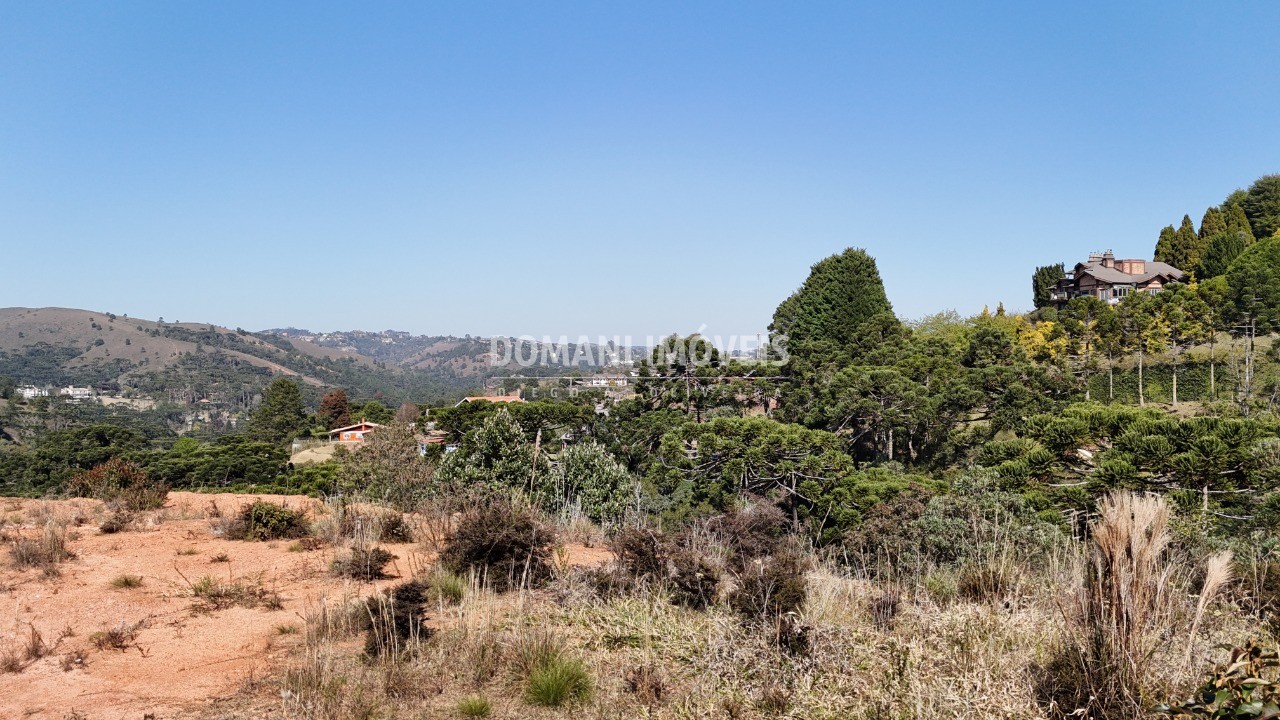 Terreno à venda - Foto 4