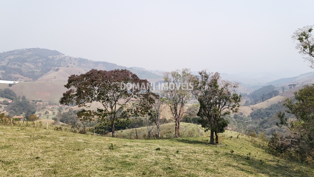 Haras e Área Rural Padrão à venda - Foto 44