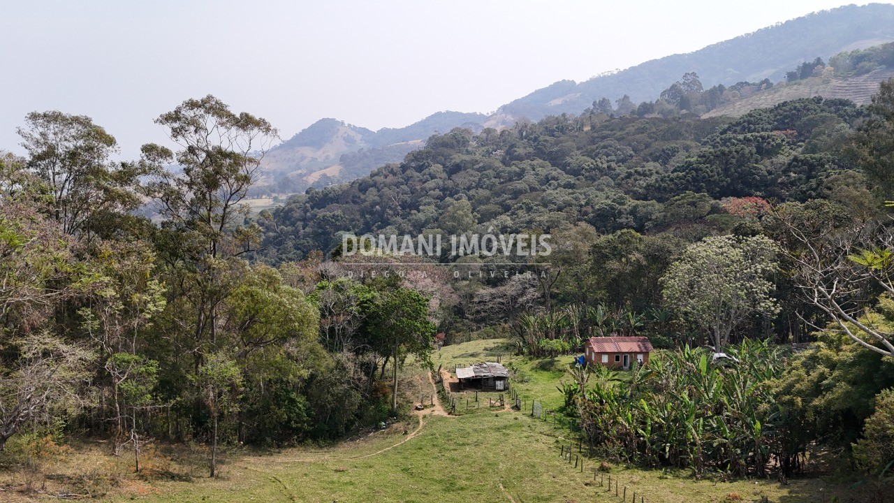 Haras e Área Rural Padrão à venda - Foto 48