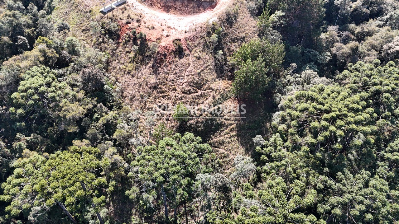 Terreno à venda - Foto 3