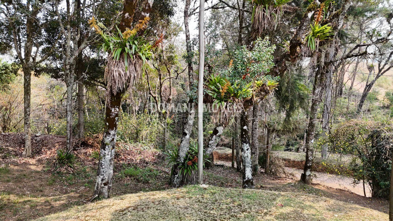 Casa à venda com 7 quartos - Foto 81