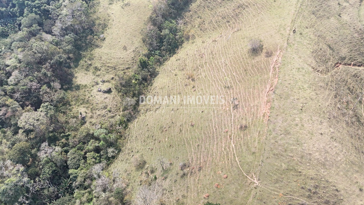 Haras e Área Rural Padrão à venda - Foto 10