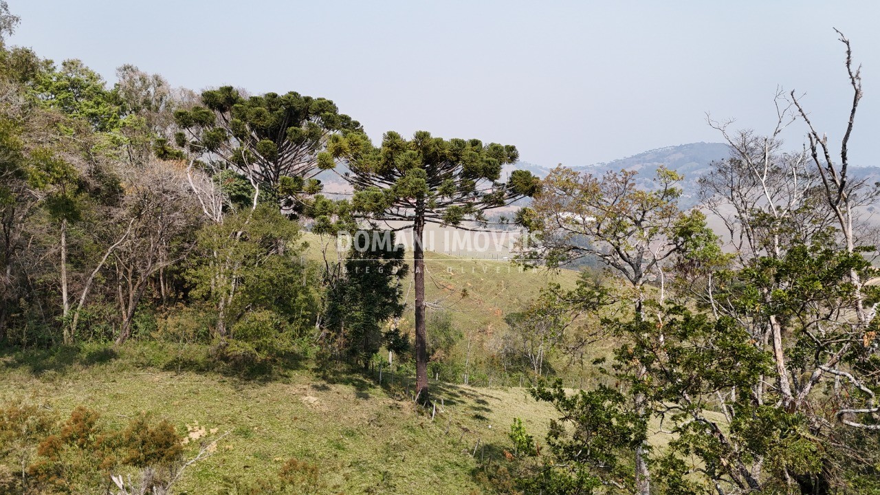 Haras e Área Rural Padrão à venda - Foto 7