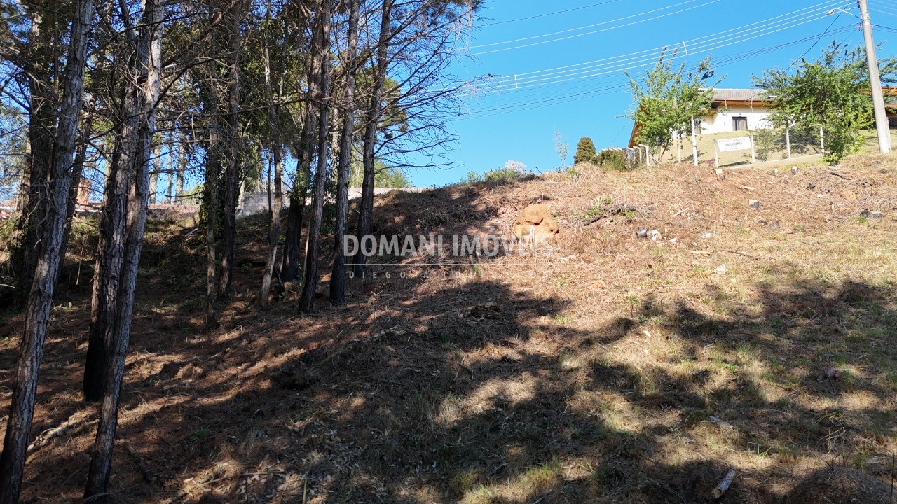 Terreno à venda, 1050m² - Foto 19